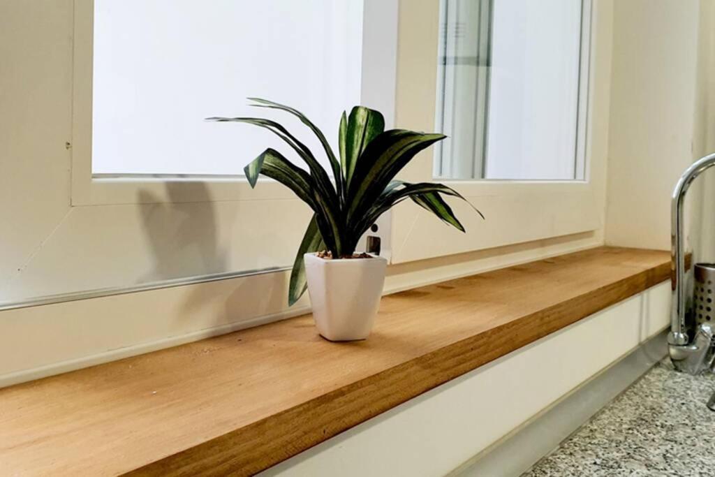 Apartamento Interior En El Centro De Algeciras 2A Lejlighed Eksteriør billede